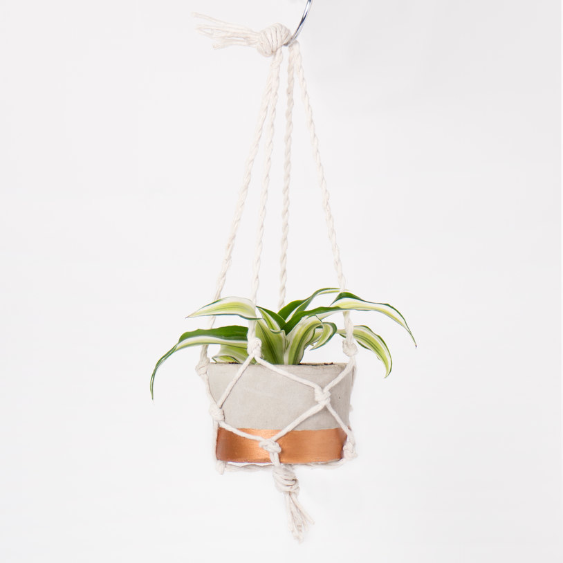 D.I.Y Hanging Planter Kit image