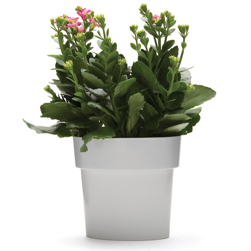 Monkey Business: Slim Flower Pot (Grey) image