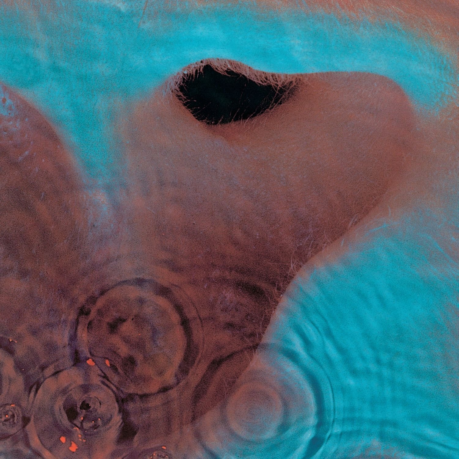 Meddle by Pink Floyd image