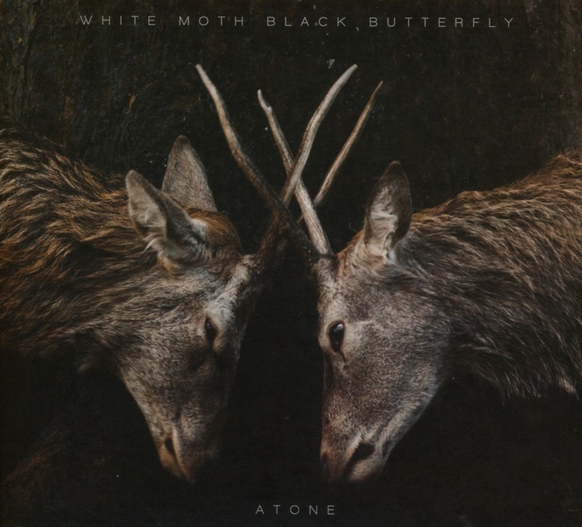 Atone (LP) on Vinyl by White Moth Black Butterfly