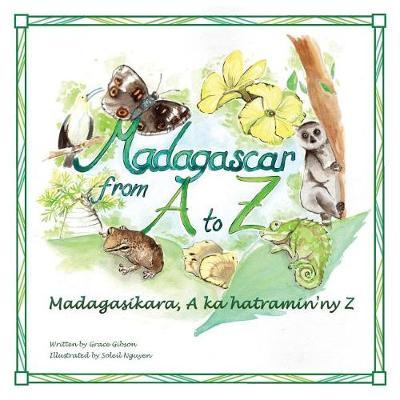 Madagascar from A to Z image