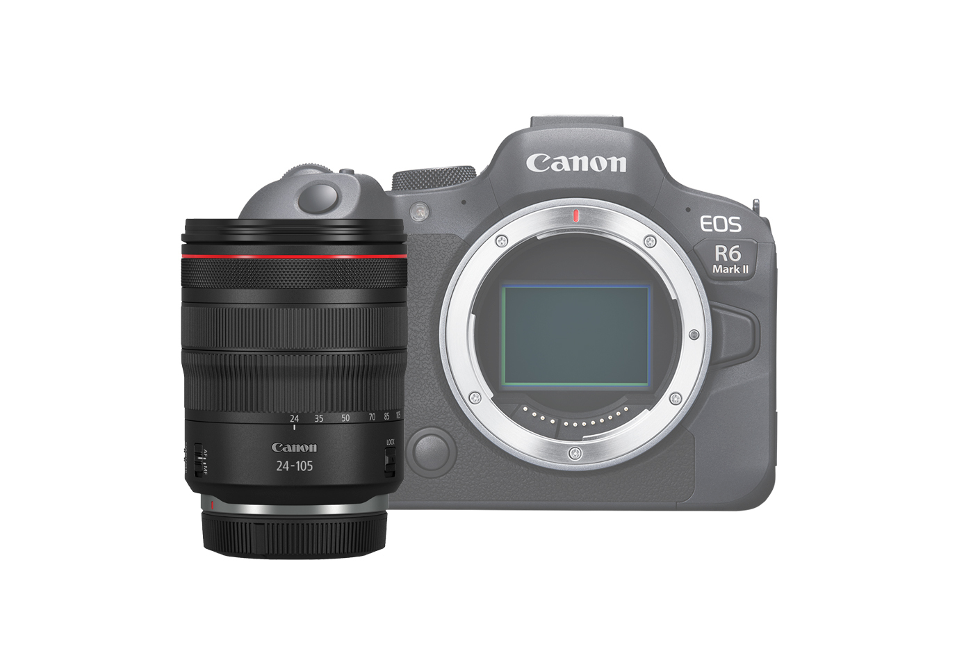 Canon EOS R6 Mark II Mirrorless Camera with RF 24105 f/4L Lens at