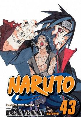 Naruto, Vol. 43 by Masashi Kishimoto