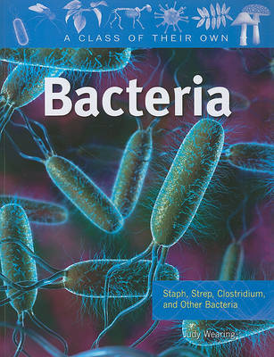 Bacteria by Judy Wearing image