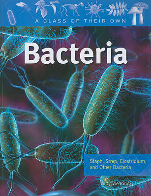 Bacteria by Judy Wearing