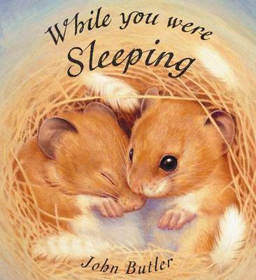 While You Were Sleeping by John Butler image