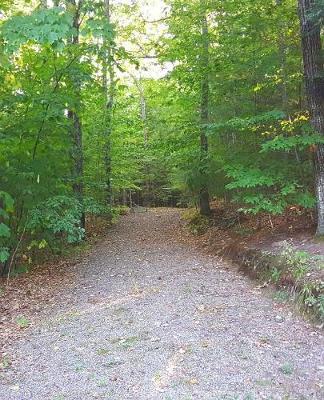 School Composition Book Late Summer Forest Path by Distinctive Journals image