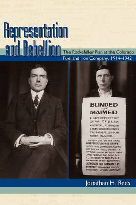 Representation and Rebellion by Jonathan H. Rees image