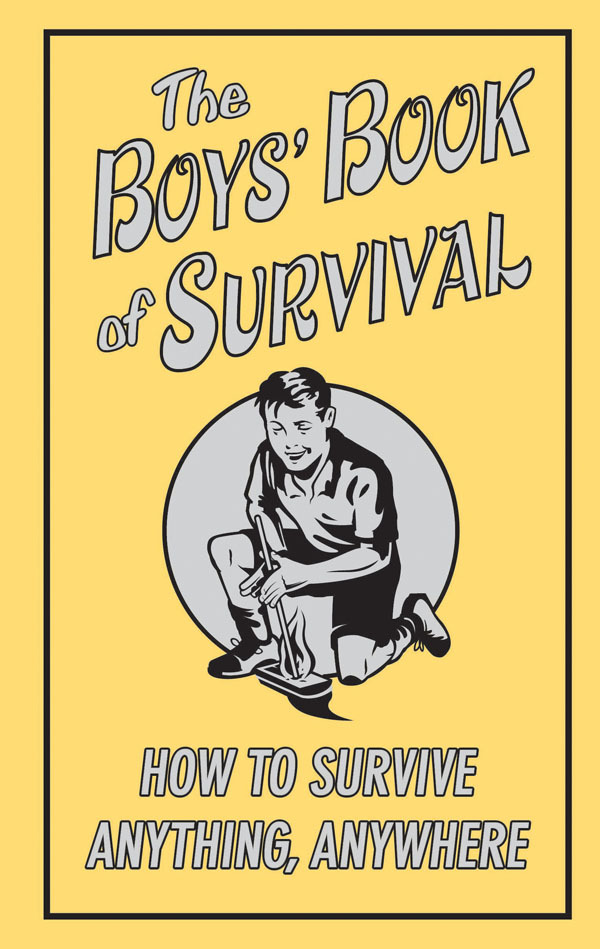 Boys' Book of Survival image