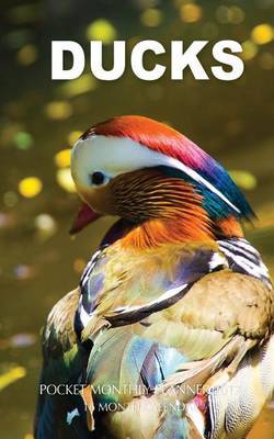 Ducks Pocket Monthly Planner 2017 by David Mann image