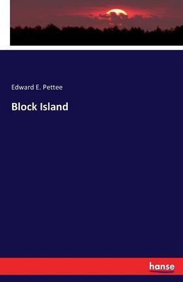 Block Island by Edward E Pettee image