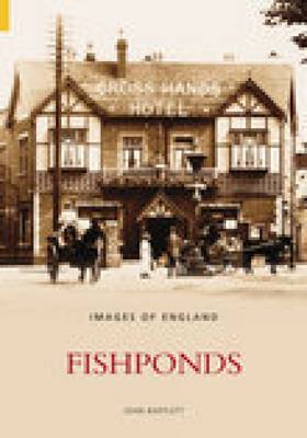 Fishponds by Robert Bartlett image