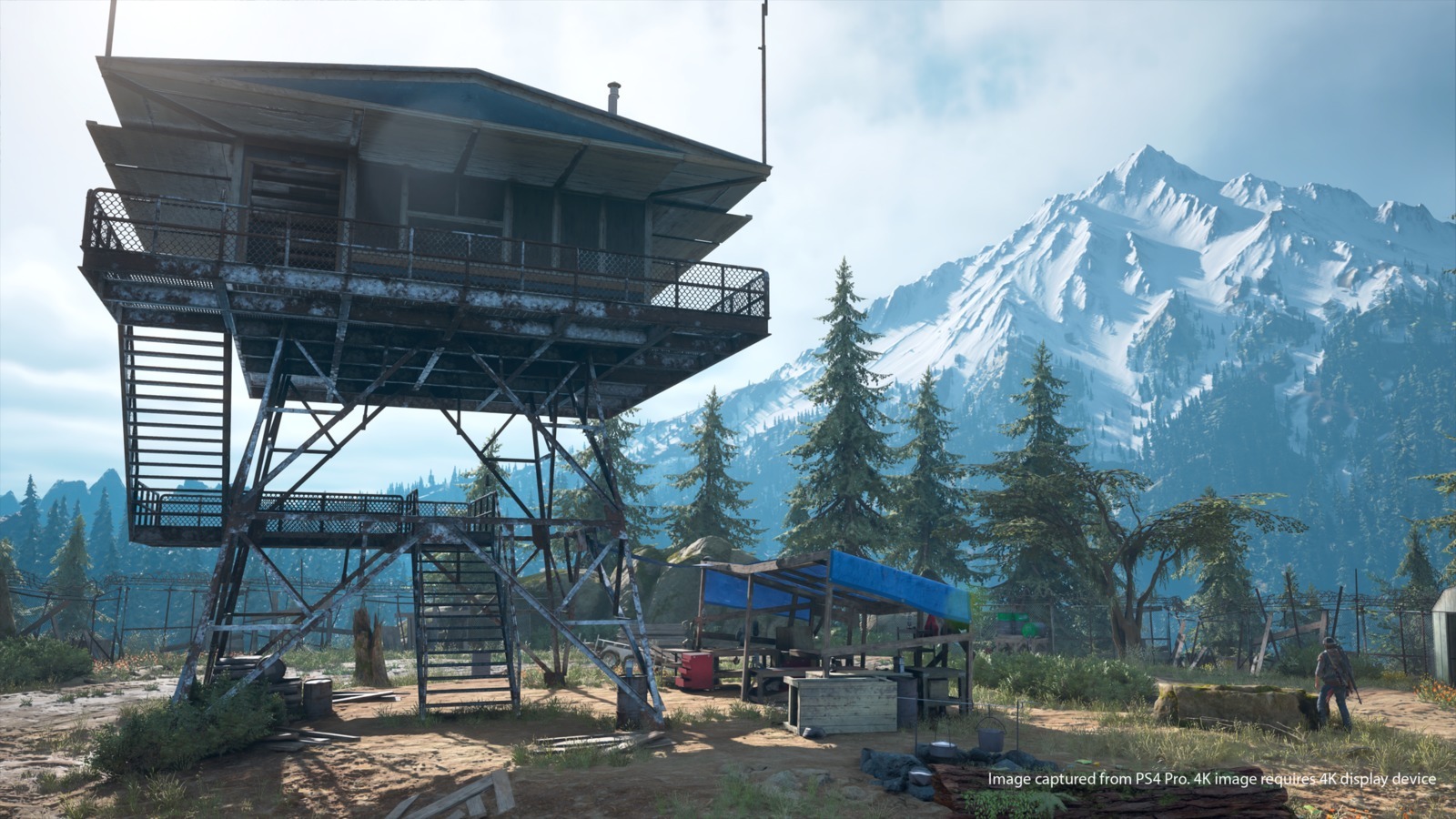 Days Gone Collector's Edition for PS4 image