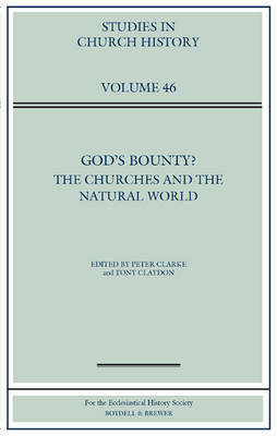 God's Bounty? by Peter Clarke image