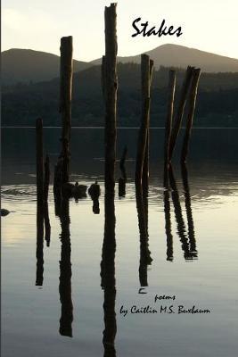 Stakes by Caitlin M S Buxbaum image