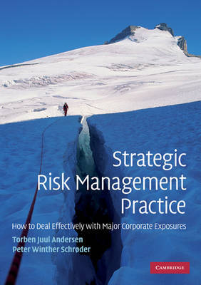 Strategic Risk Management Practice by Torben Juul Andersen image