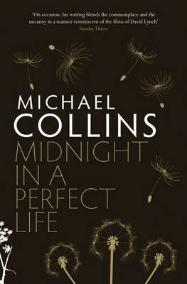 Midnight in a Perfect Life by Michael Collins image