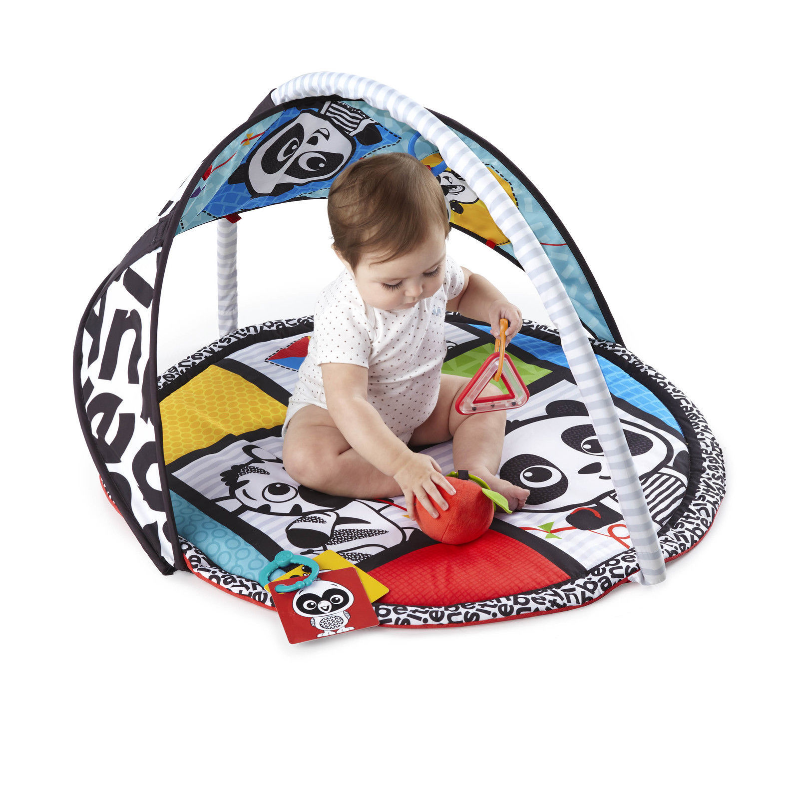 Baby Einstein: Bold New World - 2-In-1 Play Gym