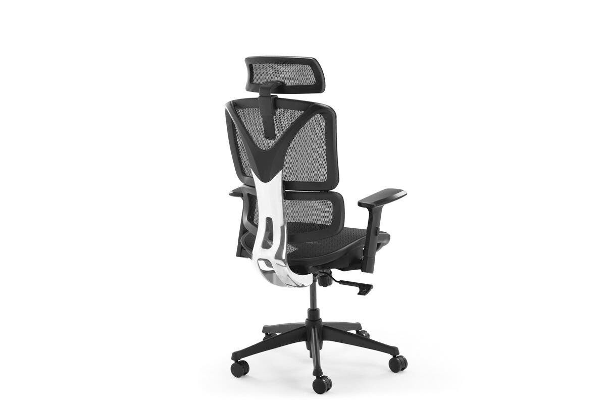 Buy EX10 Ergonomic Mesh Office Chair at Mighty Ape NZ