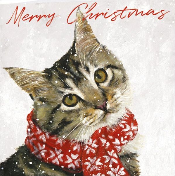 Art Marketing: Boxed Christmas Cards - Ollie image