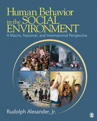 Human Behavior in the Social Environment image