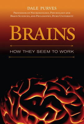 Brains by Dale Purves image