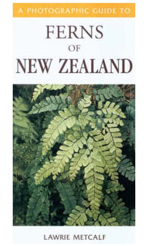 Photographic Guide to Ferns of New Zealand by Lawrie Metcalf image