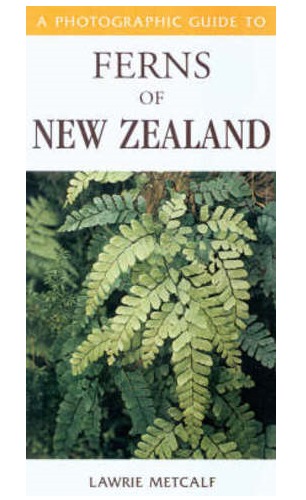 Photographic Guide To Ferns Of New Zealand image