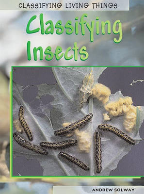 Classifying Insects on Paperback by Andrew Solway