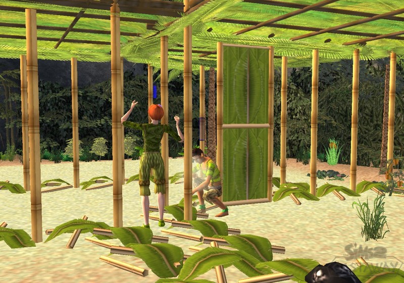 The Sims 2: Castaway for Nintendo Wii image