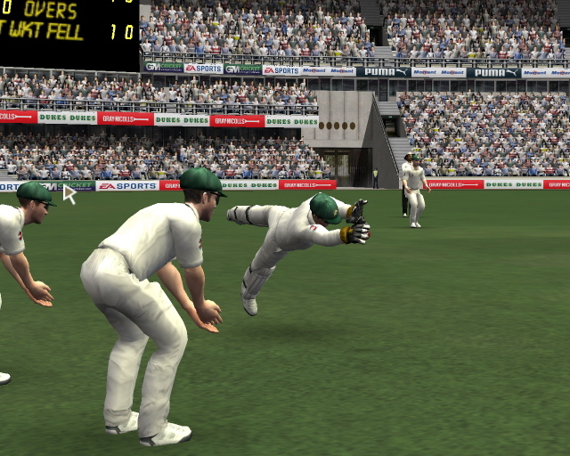 Cricket 07 image