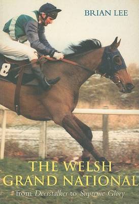 The Welsh Grand National by Brian Lee image