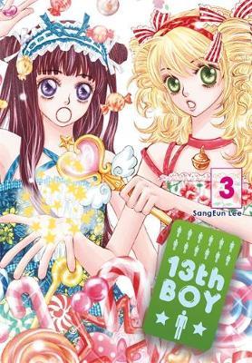 13th Boy, Vol. 3 image