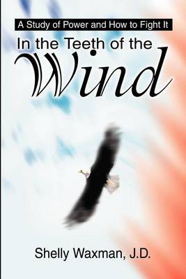 In the Teeth of the Wind: A Study of Power and How to Fight It by Shelly Waxman image