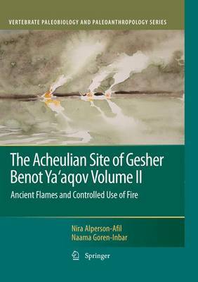The Acheulian Site of Gesher Benot Ya'aqov Volume II by Nira Alperson-Afil image