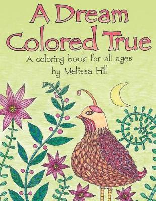 A Dream Colored True by Melissa Hill image