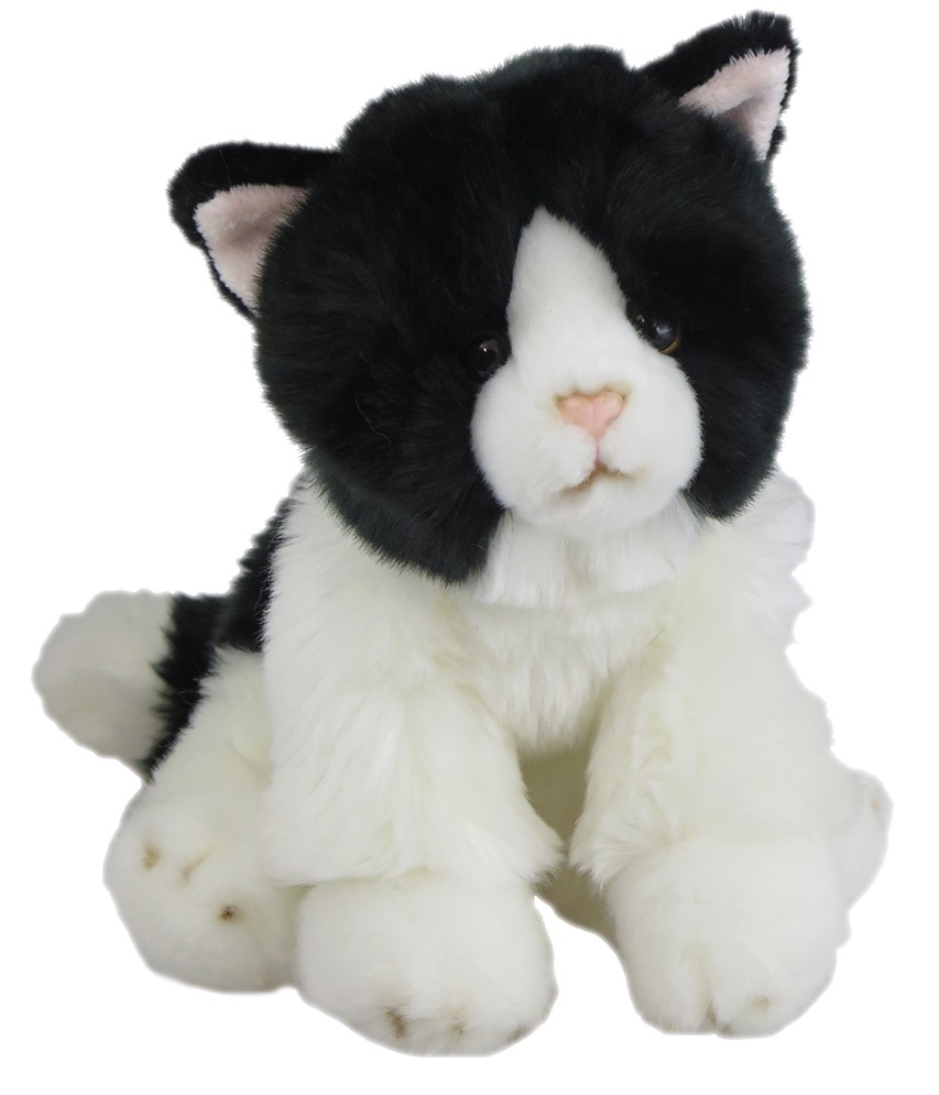 Antics: Black & White Cat - Sitting image