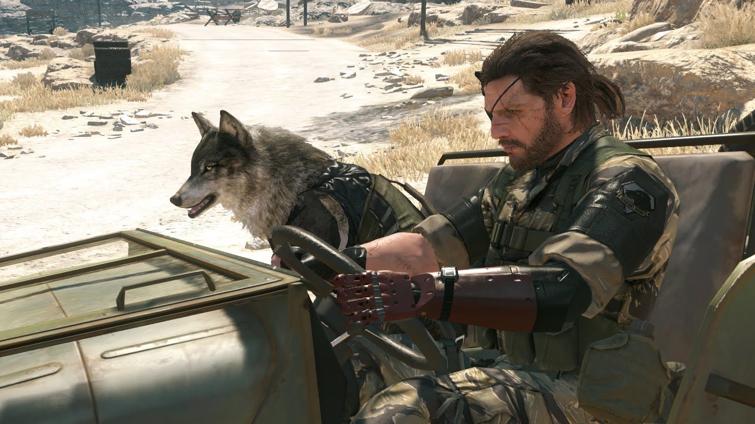 Metal Gear Solid V: The Definitive Experience image