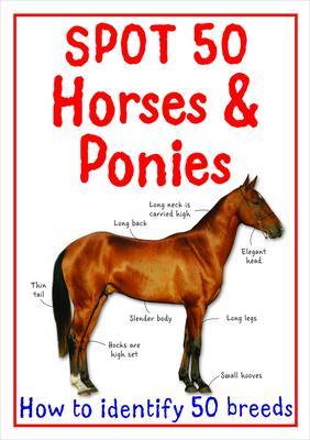 Spot 50 Horses and Ponies image