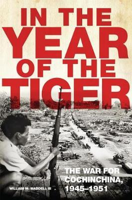 In the Year of the Tiger by William M Waddell image