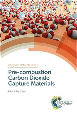 Pre-combustion Carbon Dioxide Capture Materials image