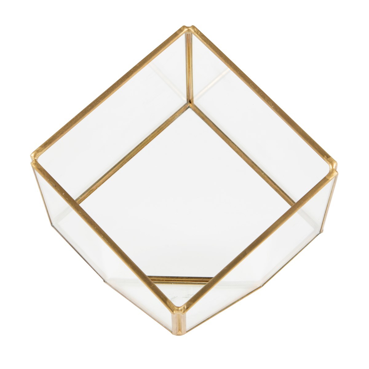 Brass Cube Terrarium image