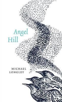 Angel Hill by Michael Longley image