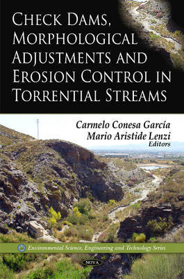 Check Dams, Morphological Adjustments & Erosion Control in Torrential Streams image