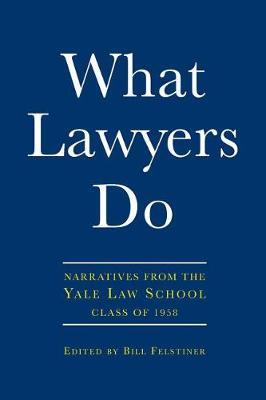 What Lawyers Do image