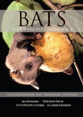 Bats of Southern and Central Africa image