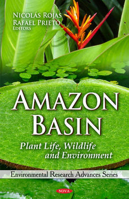 Amazon Basin image