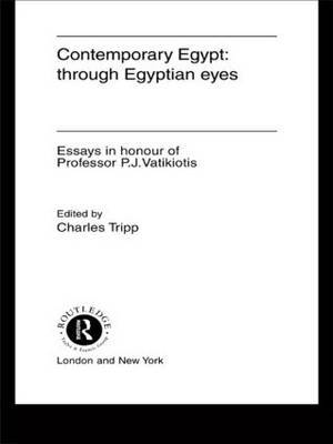 Contemporary Egypt: Through Egyptian Eyes image