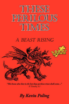 These Perilous Times by Kevin Poling image