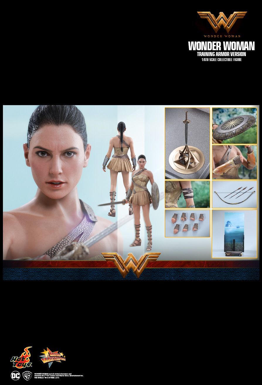 Wonder Woman (2017) - Wonder Woman (Training Armour Ver.) - 12" Figure image